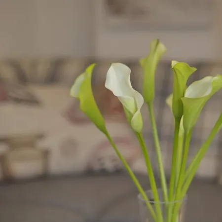 Hasenkuhle App 2 * Wenningstedt-Braderup (Sylt)