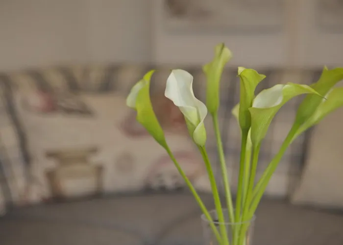 Hasenkuhle App 2 * Wenningstedt-Braderup